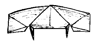rear view - Katydid aeroplane